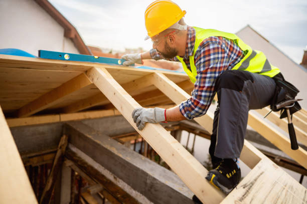 Best Roof Gutter Cleaning  in Frostburg, MD