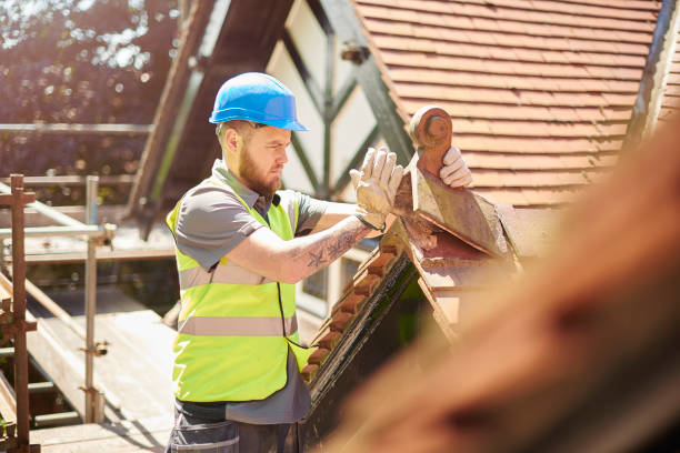 Best Storm Damage Roof Repair  in Frostburg, MD