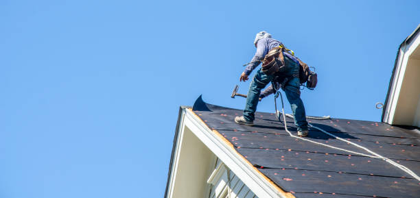 Roof Gutter Cleaning in Frostburg, MD
